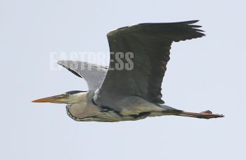 EA266853, Eastpress, Porvoo, Finland